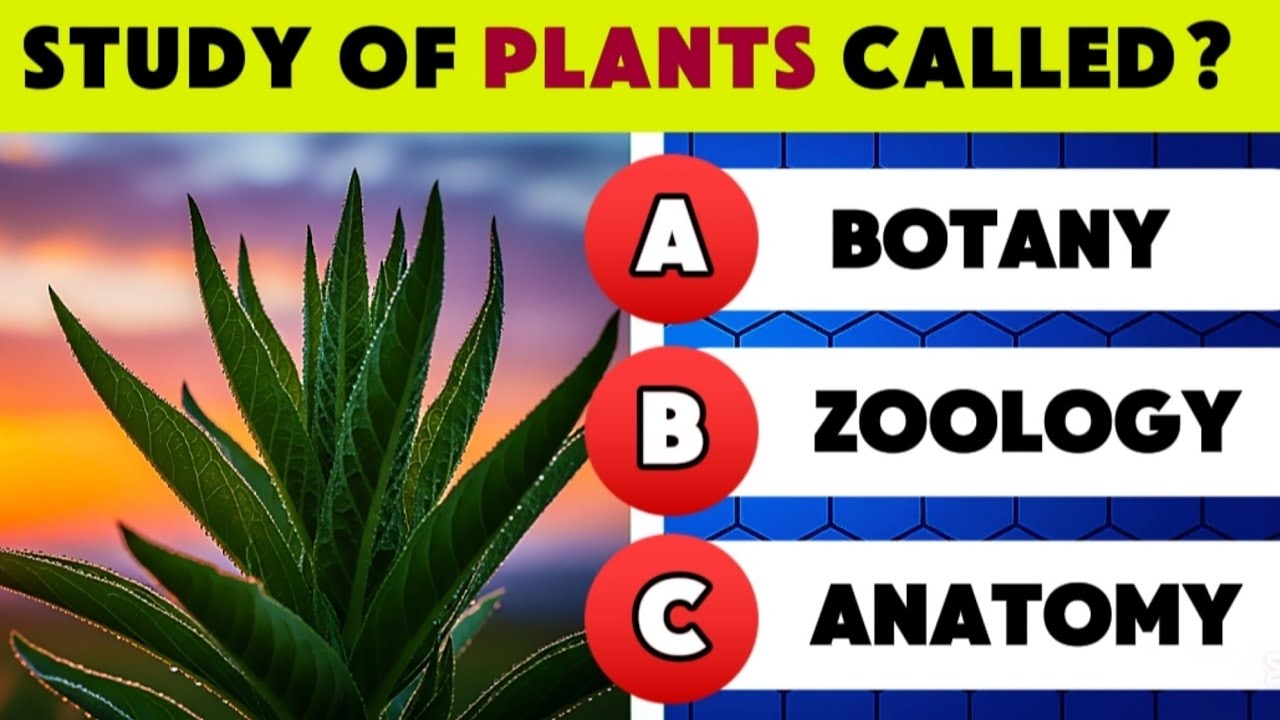 GENERAL Knowledge Quiz Questions to Test Your Brain | What's Your GENERAL Knowledge Score?