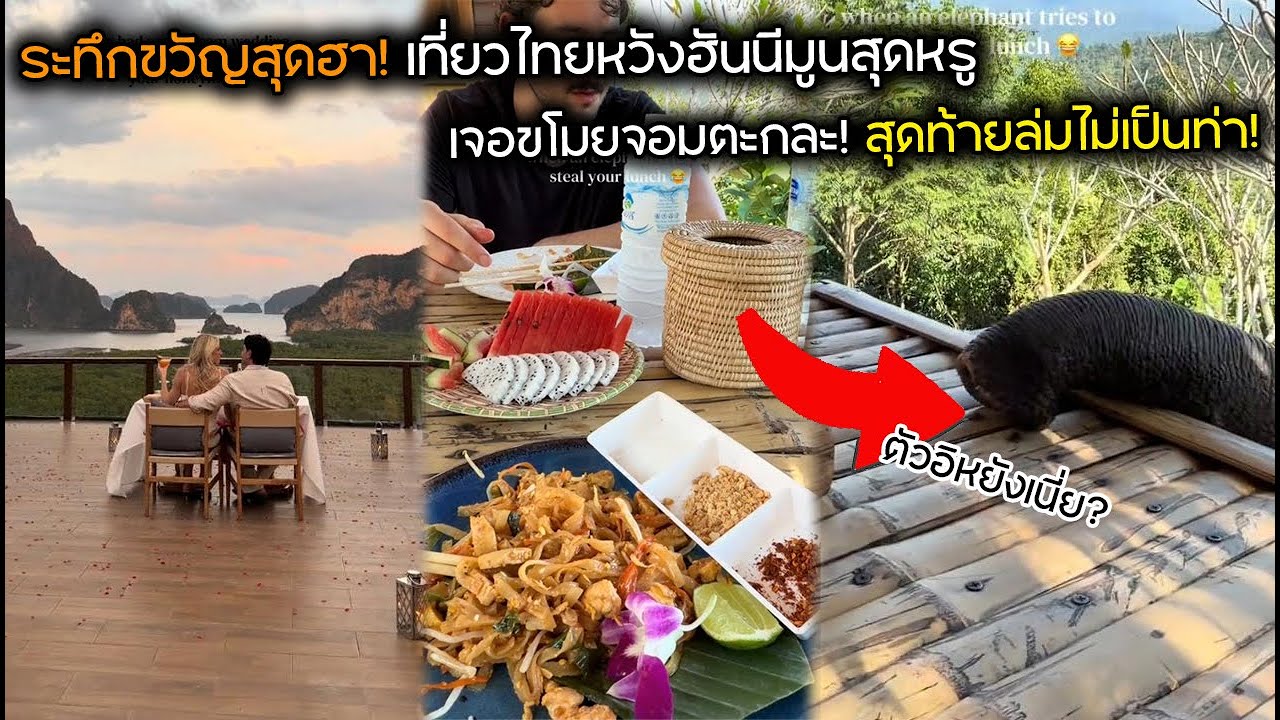 ระทึกขวัญสุดฮา! เที่ยวไทยหวังฮันนีมูนสุดหรู เจอขโมยจอมตะกละ! สุดท้ายล่มไม่เป็นท่า!