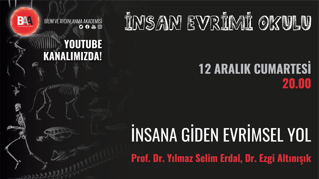 İnsana Giden Evrimsel Yol | İnsan Evrimi Okulu 1 | Yılmaz Selim Erdal-Ezgi Altınışık