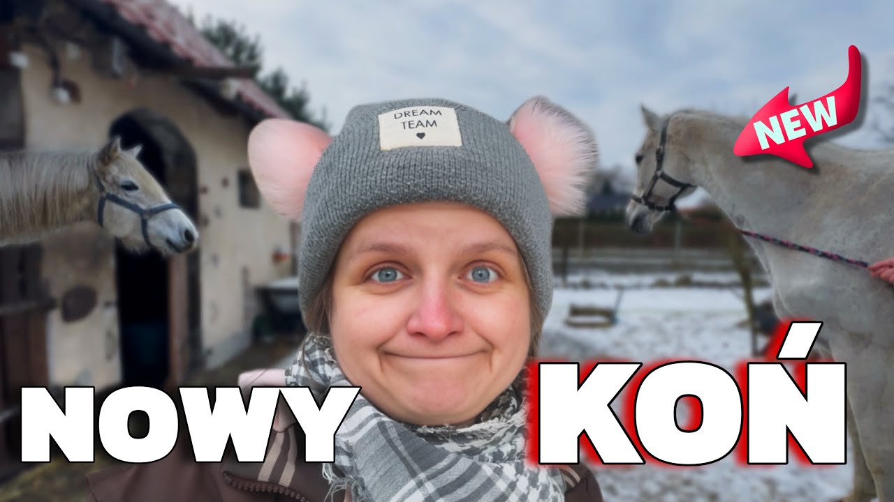 NO TO MAMY NOWEGO KONIA…