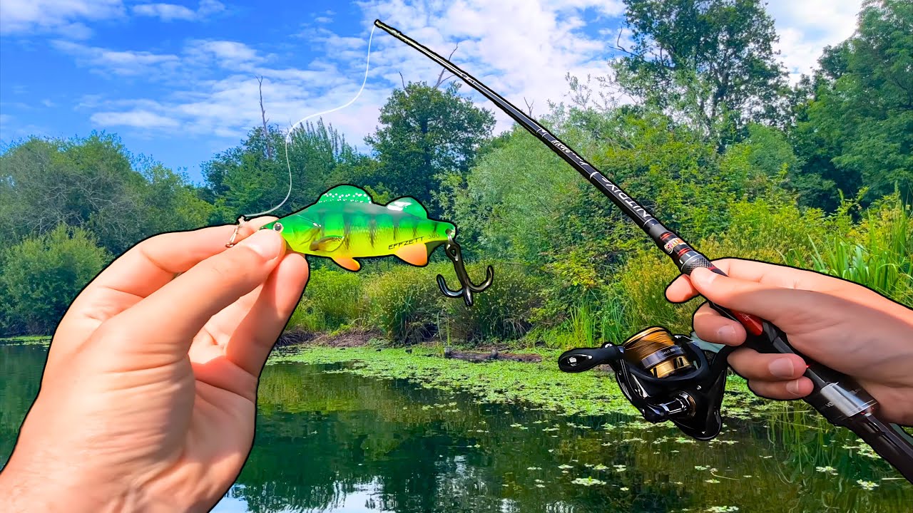 Pêche du Brochet à la CUILLER ONDULANTE