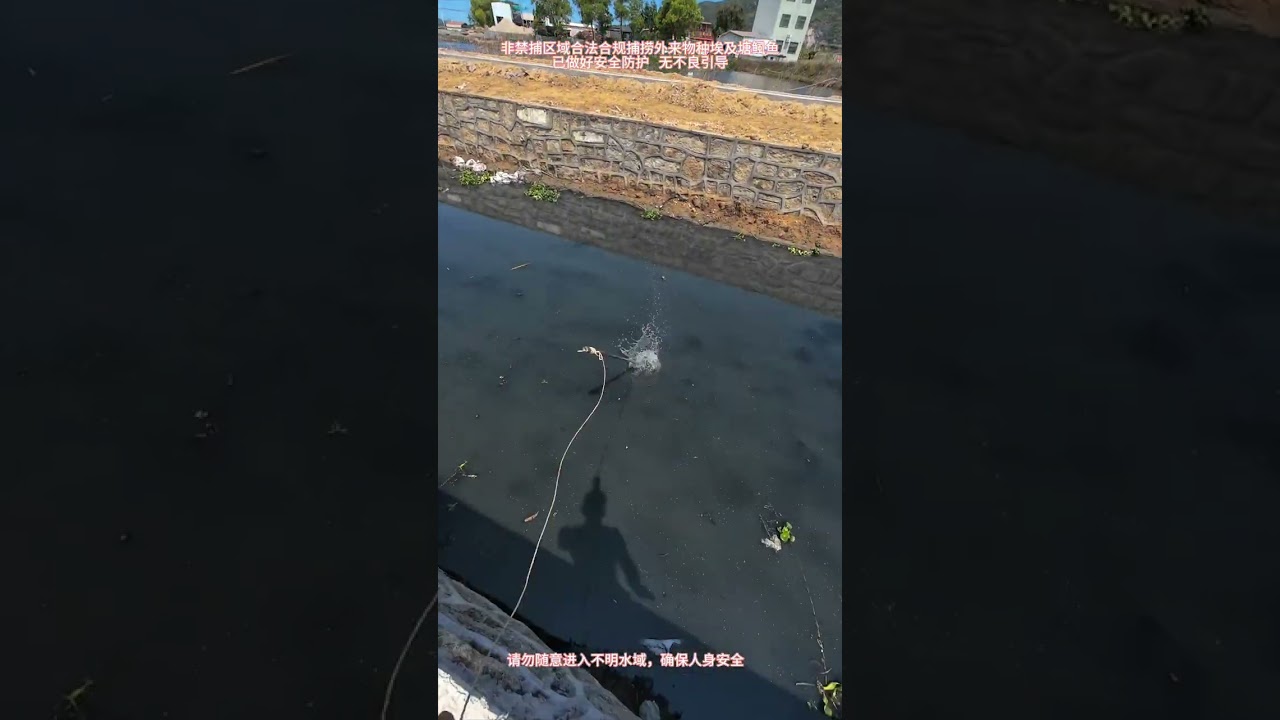 传统捕鱼外来物种 #外来入侵物种 #埃及塘鲺鱼 #鱼