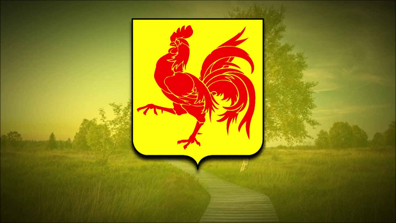 National Anthem of Wallonia (Belgium) - Le chant des Wallons (Li Tchant des Walons)