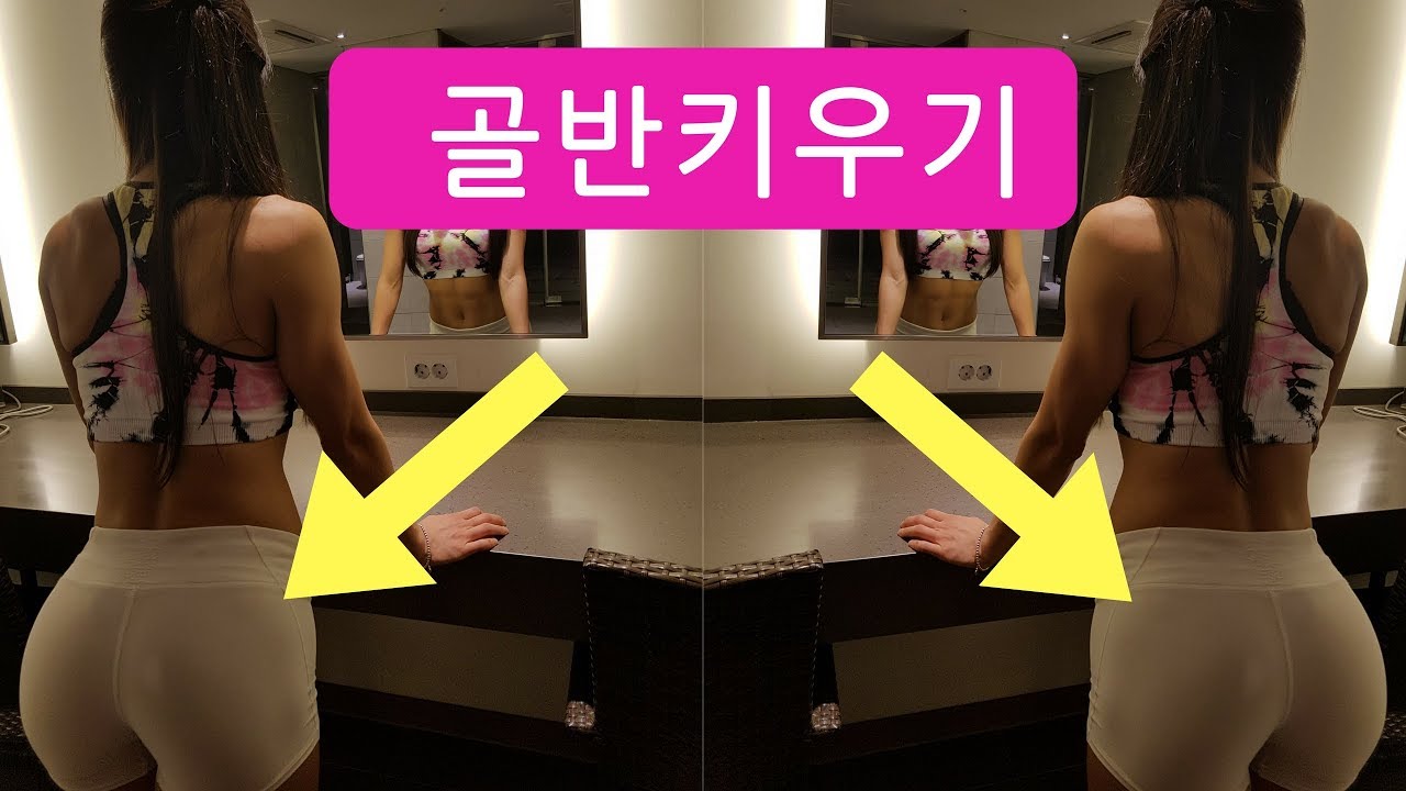 골반 넓어지는 운동 (과학적인 근거)