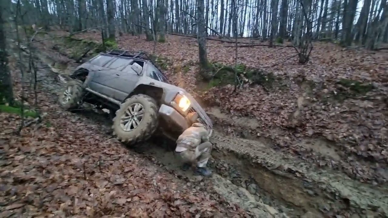 (Кукуруза) в Январе!