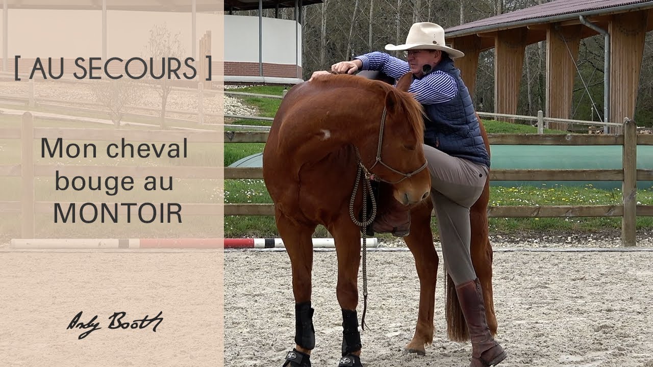 [AU SECOURS] Mon cheval bouge au MONTOIR !