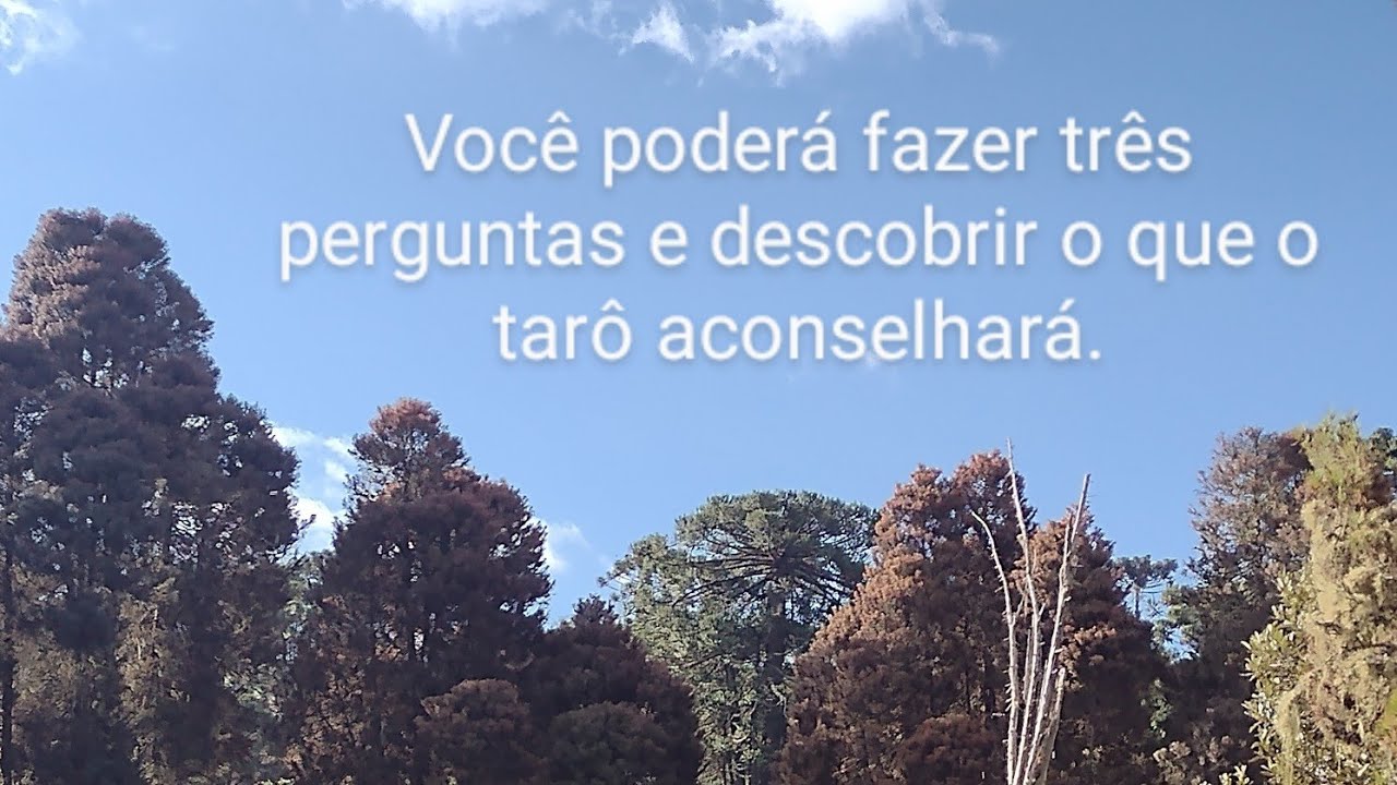 O Tar&ocirc; Responde. #tar&ocirc;responde #tar&ocirc; #aconselhamento #amor