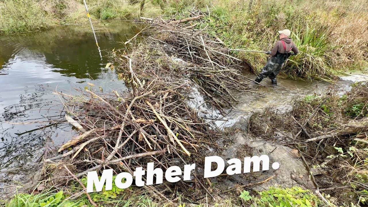 Water Finally Flows!