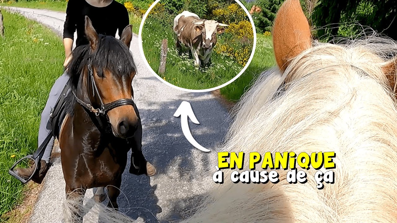 Iphy doit surmonter sa PEUR (heureusement que Lili est là 🥲)