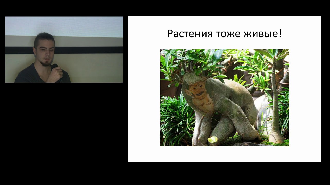 Лекторий Green|Fab: Типы конструкций, свет и растения (Евгений Климов)