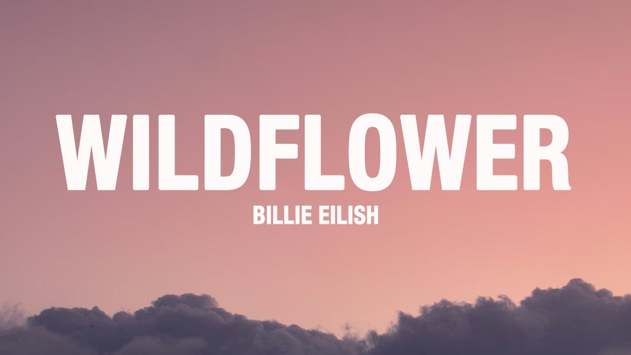 Billie Eilish - WILDFLOWER (Lyrics)