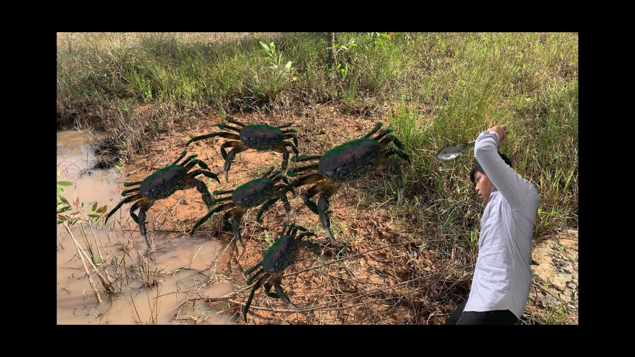 Build Underground Crab Trap - How To Make Crabs Trap Work 100%