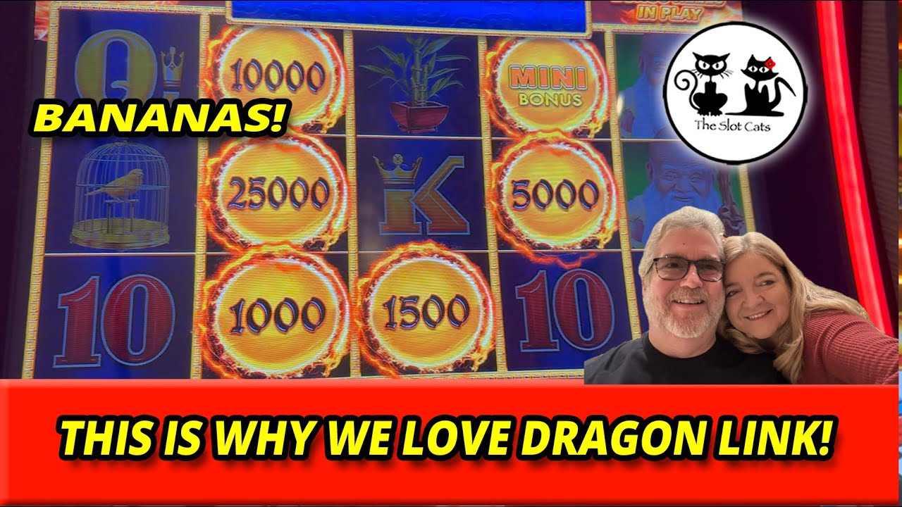 ВОТ ПОЧЕМУ DRAGON LINK &mdash; НАШ ФАВОРИТ! МАКСИМАЛЬНАЯ СТАВКА, ФРЕД НЕ МОЖЕТ ПРОИГРАТЬ! #theslotcats ...