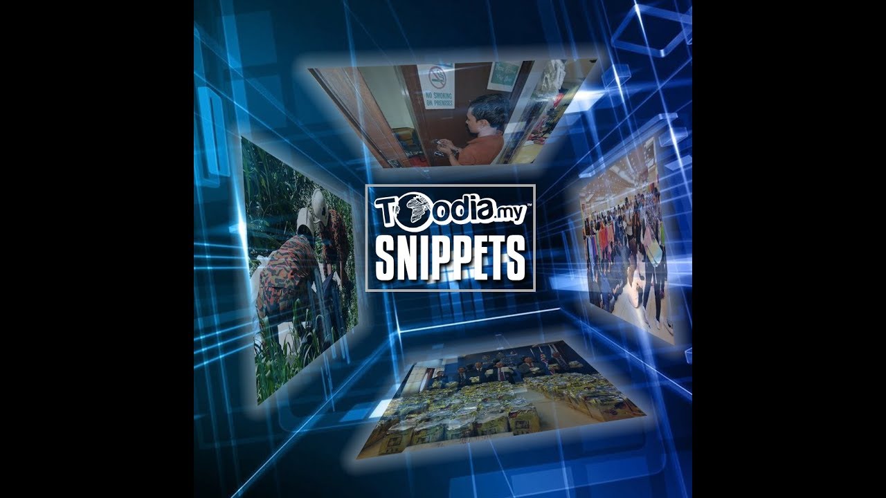 Toodia Snippets For The Second Week Of July 2018