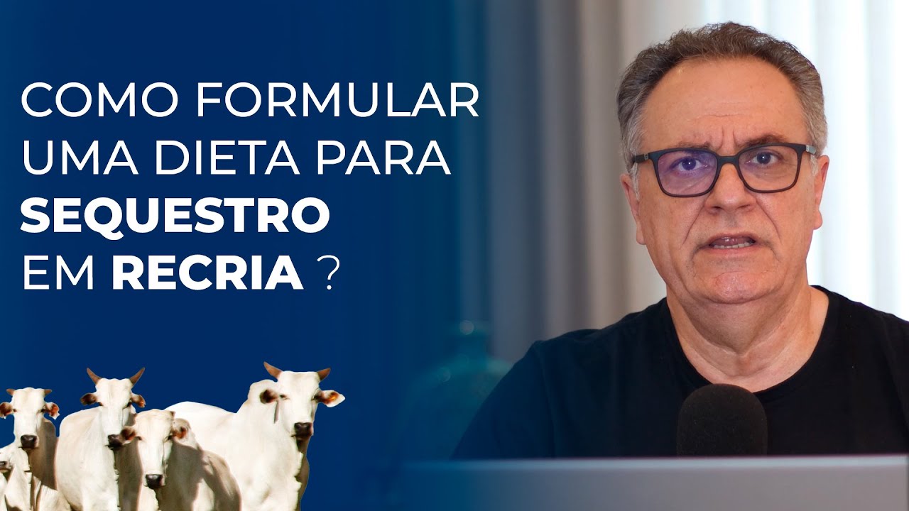 Como formular uma dieta para sequestro em recria?