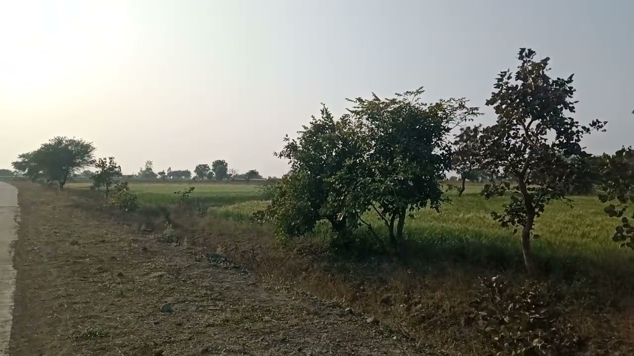 This season's crop 