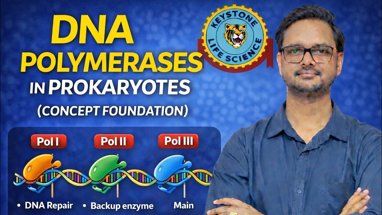 DNA Polymerases in Prokaryotes | Concept Foundation | CSIR-NET Life Sciences