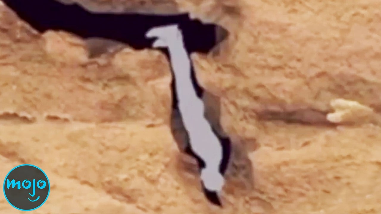 10 HORRIBLE Real Life Stories of People Getting Trapped in TERRIFYING Places