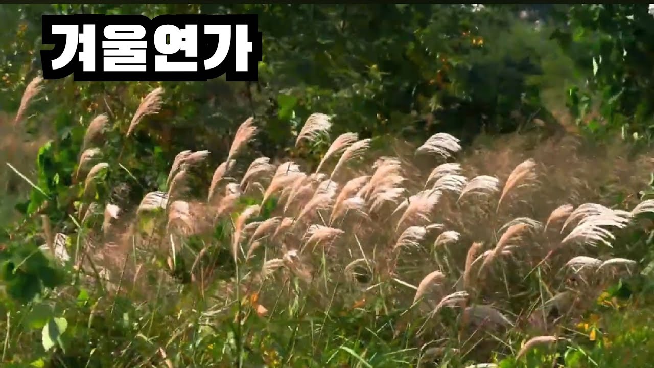 겨울연가피아노