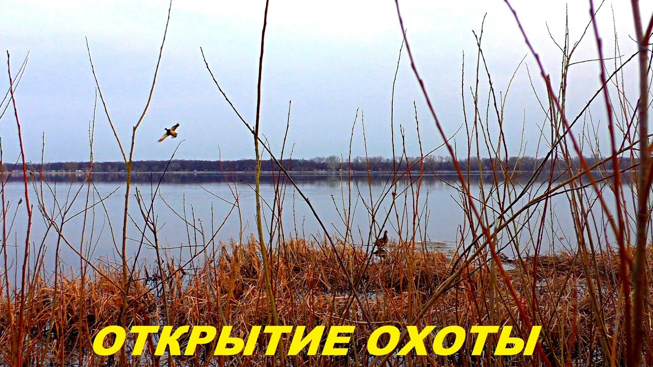 Лучшее открытие весенней охоты. Охота с подсадной / MAX HUNTER