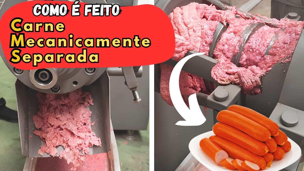 Como é feita a Carne Mecanicamente Separada (CMS) na indústria - O que é? É seguro? Onde é usado?