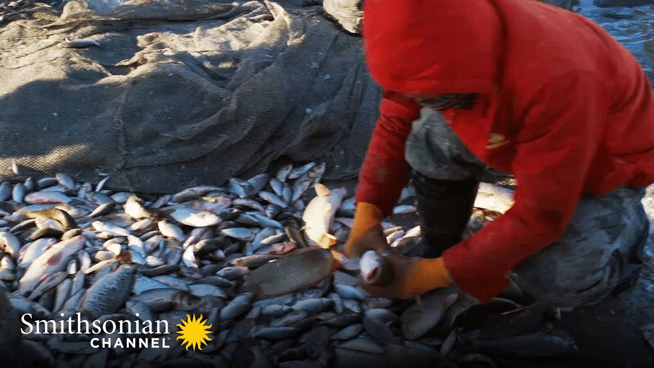 This Ancient Mongolian Fishing Method Yields 1000s of Fish 🐟 China From Above | Smithsonian Channel
