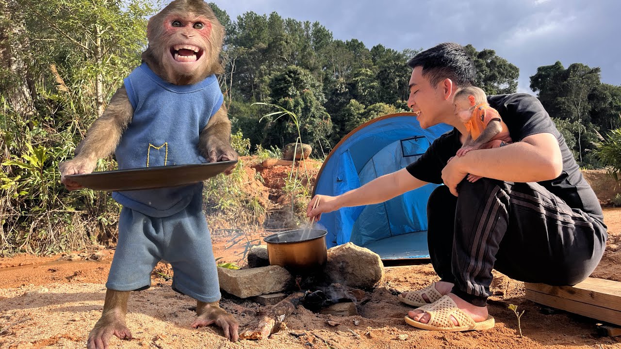 Max family's happy outdoor camping trip