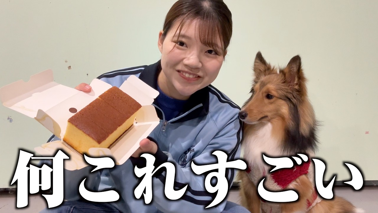 なんでも食う犬に食べたことない高級おやつあげる