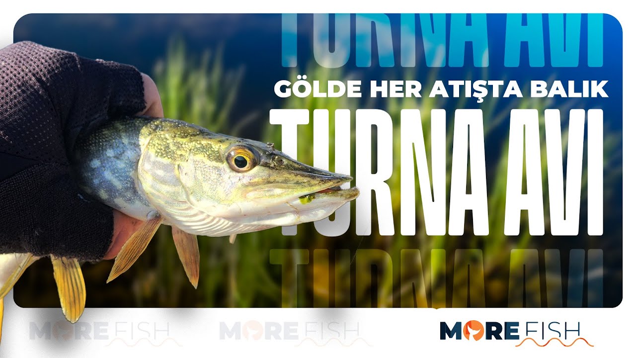Her Atışta Balık | Harika Turna Avı