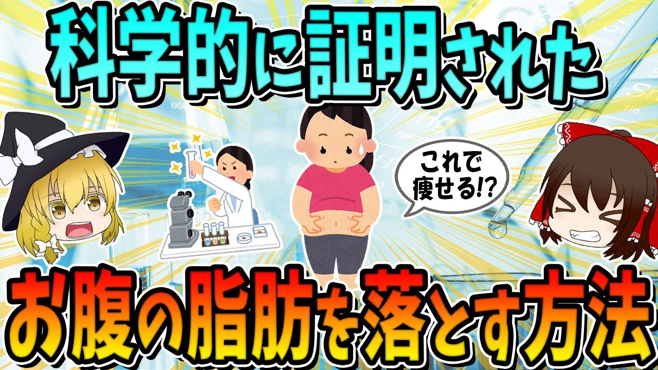 【総集編】脱メタボ腹！科学的に証明されたお腹の脂肪を落とす方法