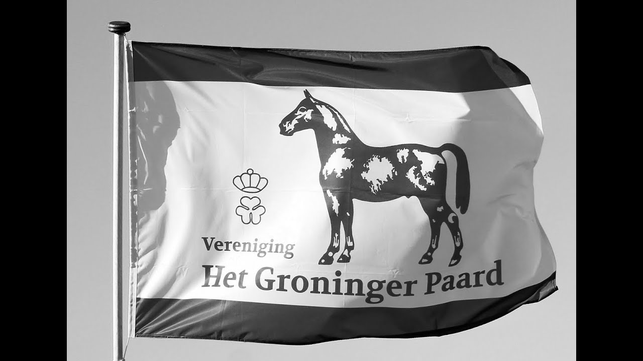 Nationale keuring Het Groninger Paard 2022