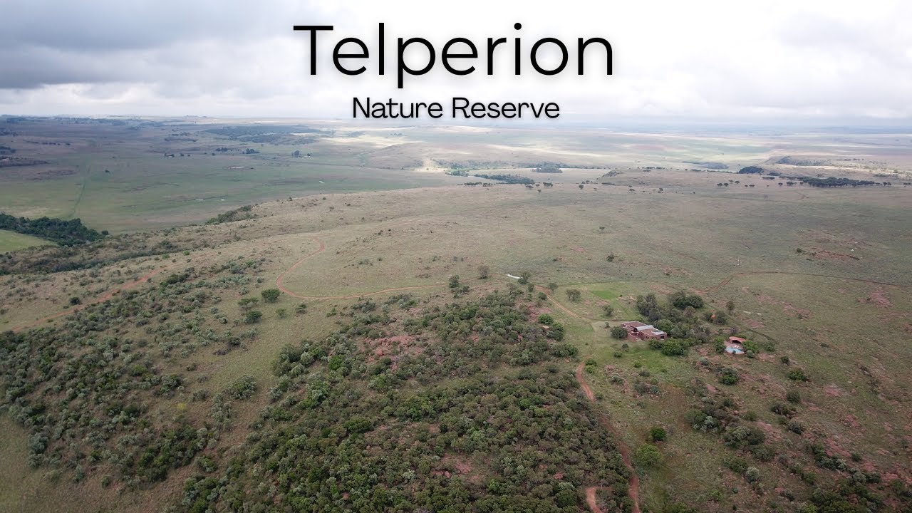 A must-visit on the border of Gauteng and Mpumalanga! ll TELPERION NATURE RESERVE