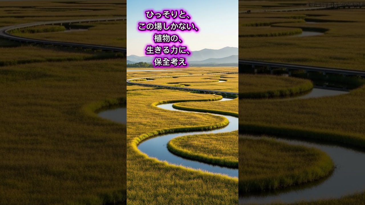 2/1 一夜正月 厄年の人の為の正月