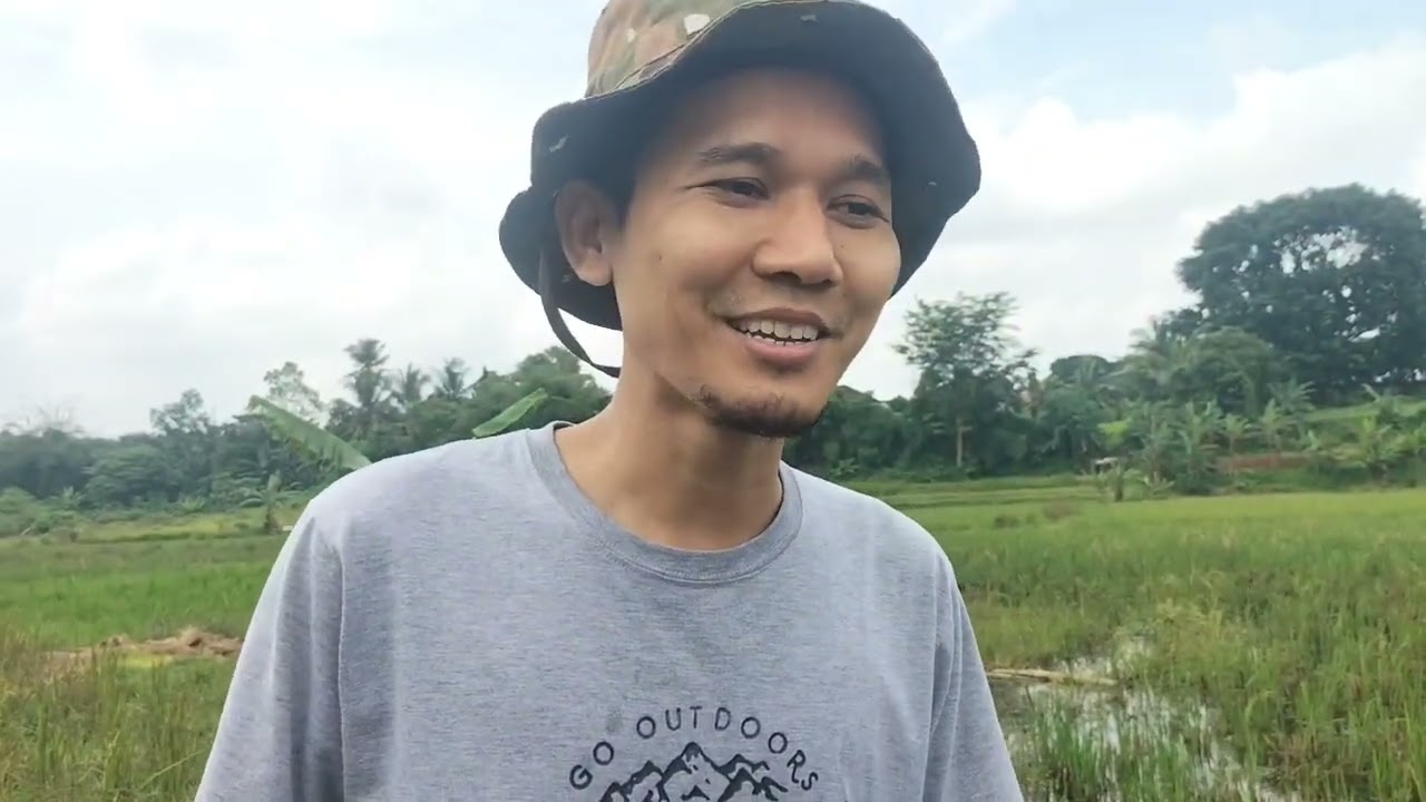 Yuk Main Ke Sawah 