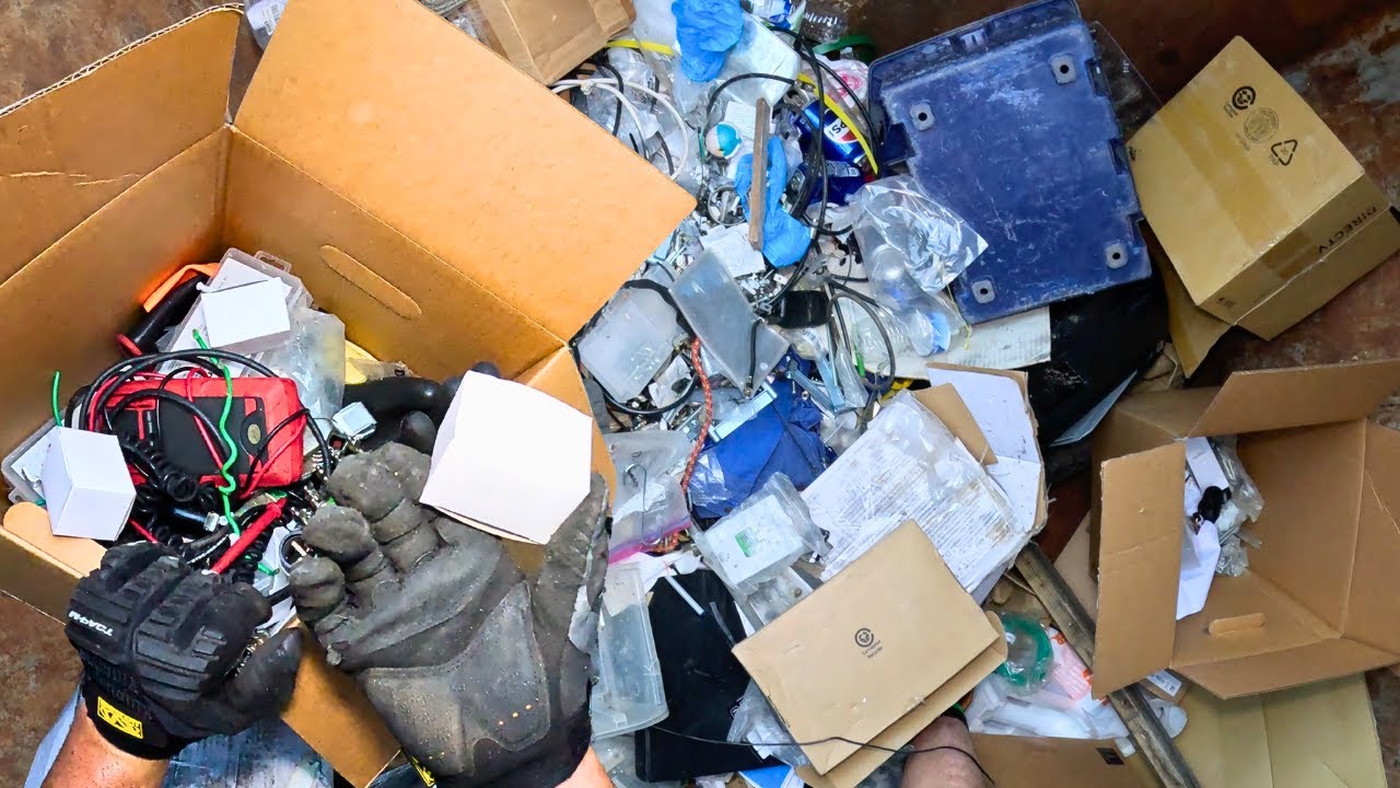 Dumpster Diving 