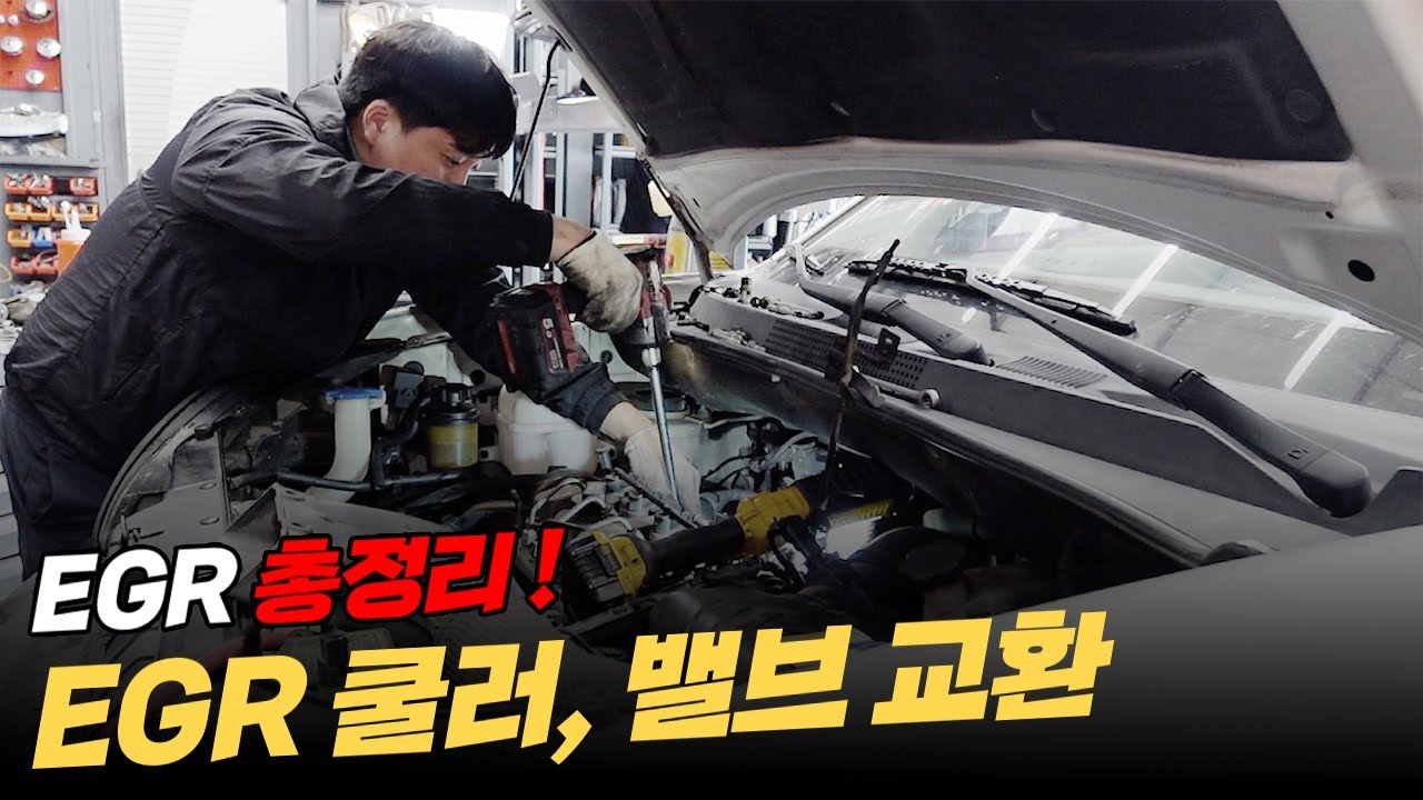 디젤, 가솔린 모두 주목! EGR 쿨러, 밸브 교체 ㅣ EGR 설명 총정리