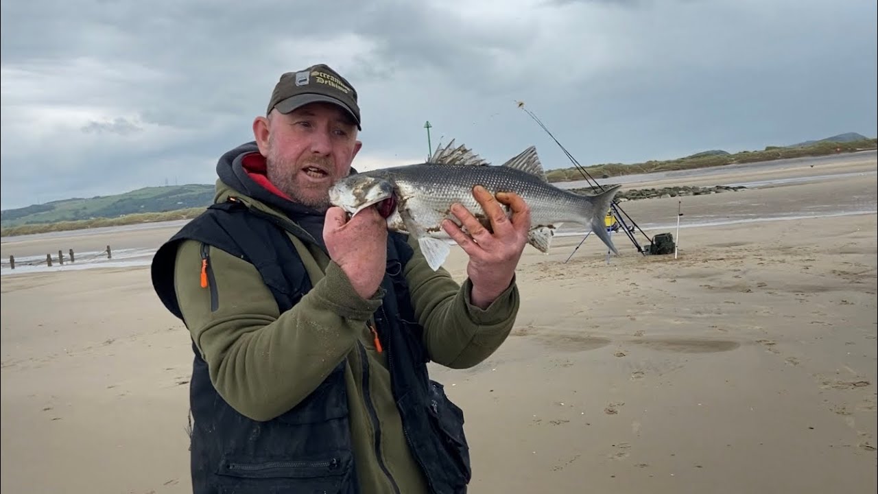 Sea fishing, at a windy Prestatyn, bass and flounder