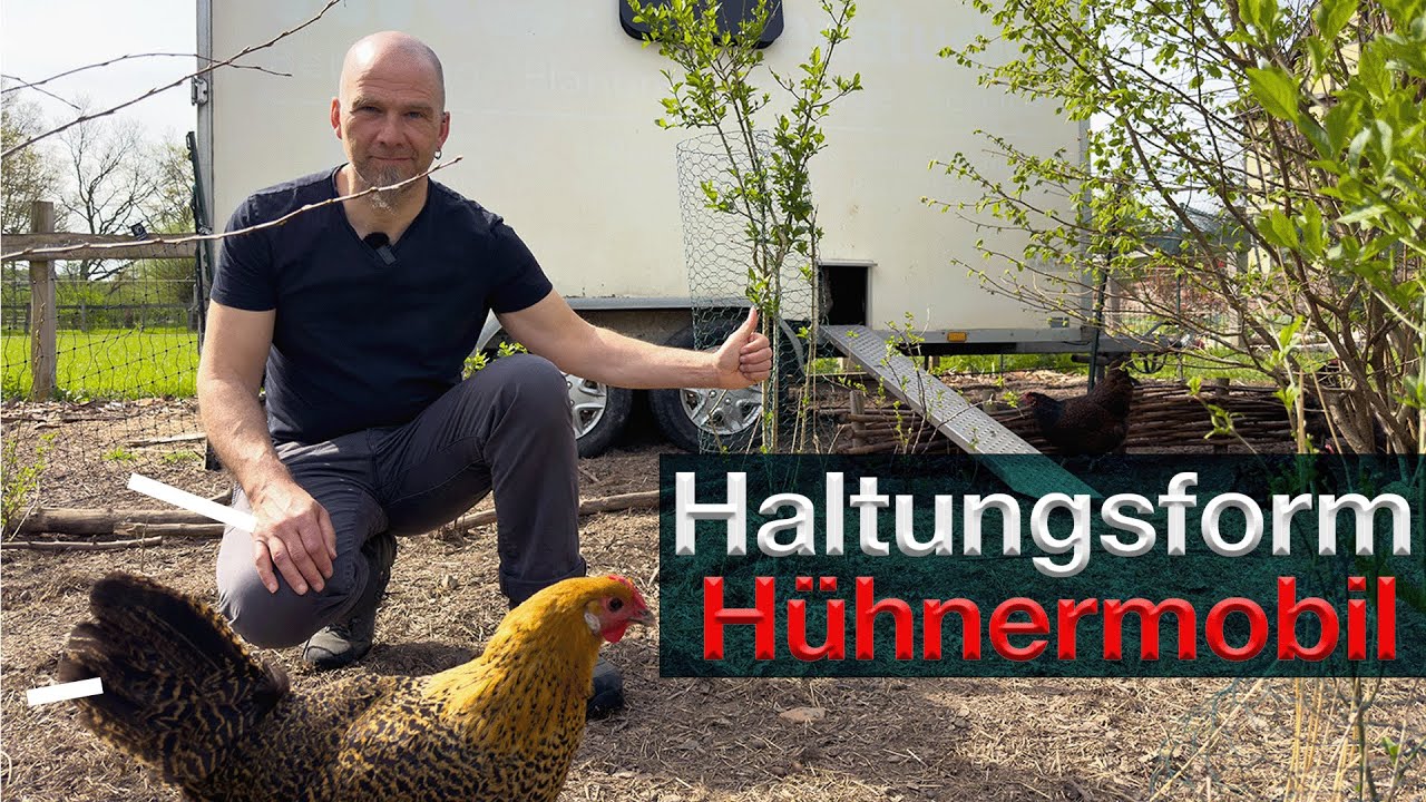 Hühnerhaltung im Mobilstall / Hühnermobil DIY / mobiler Hühnerstall #chickenfarming #chickencubes