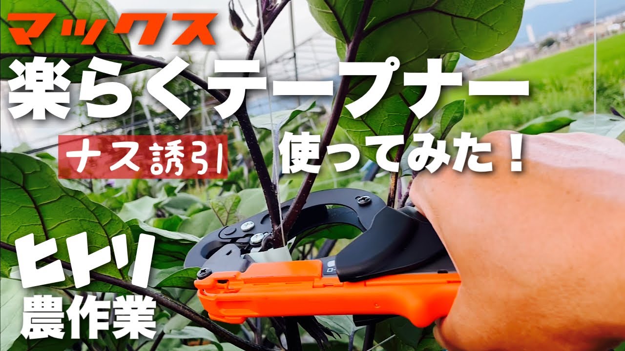 【ひとり農作業動画】マックス楽らくテープナーでナスの誘引作業動画【新規就農10年目】