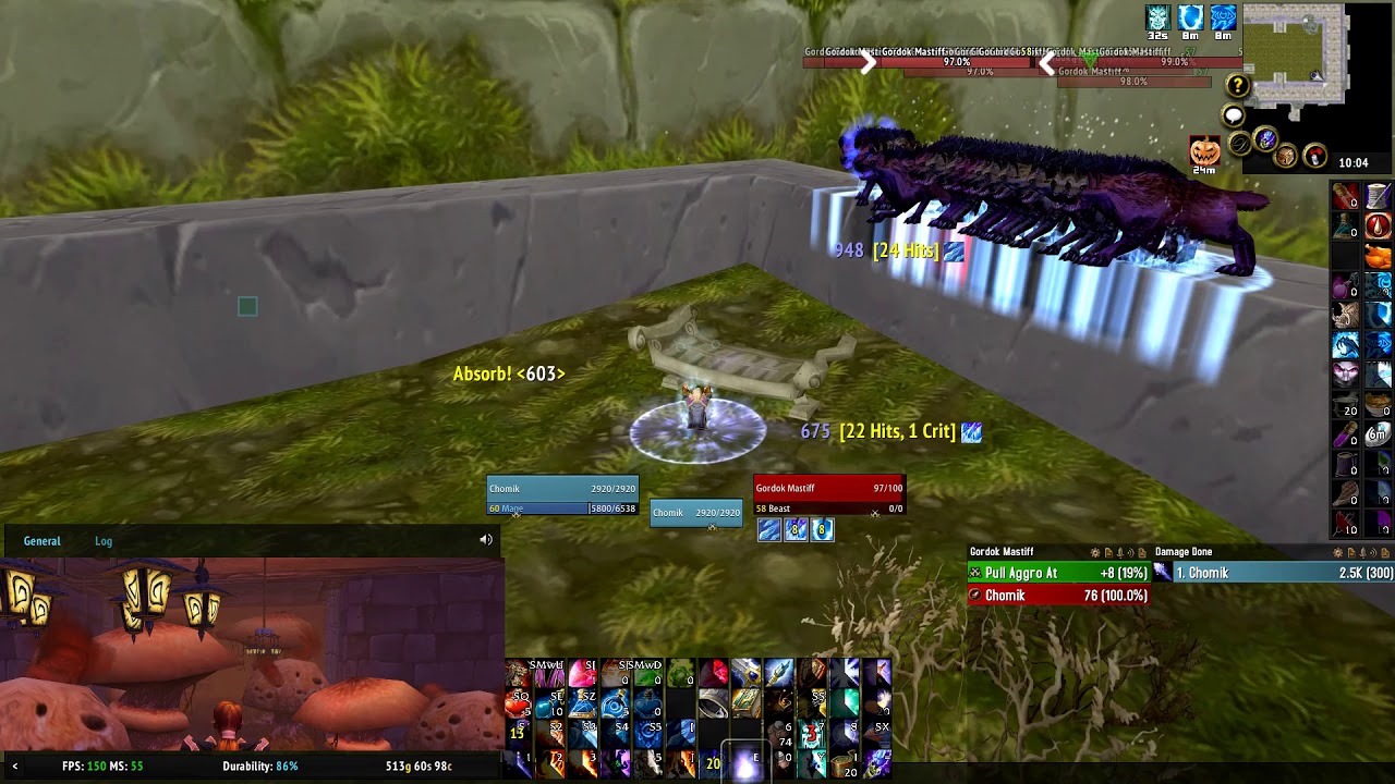 Dire Maul North Mage dogs farm without Iceblock