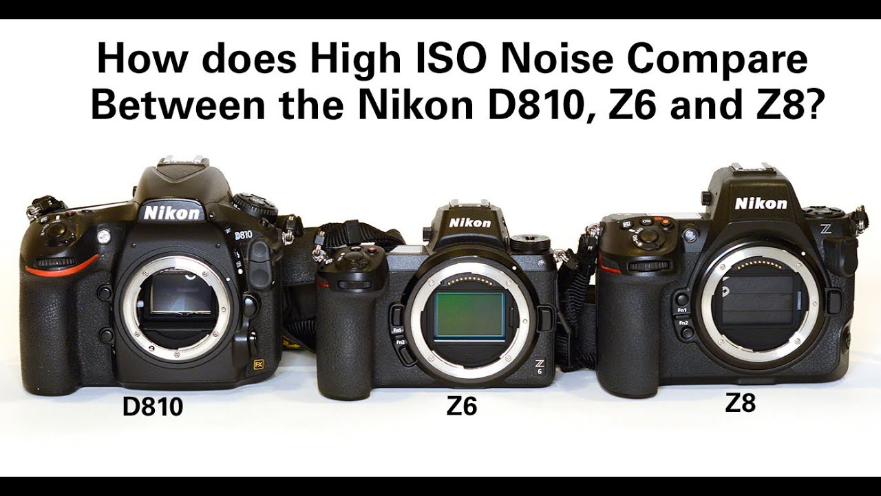 How does High ISO Noise Compare Between the Nikon D810, Z6 and Z8?