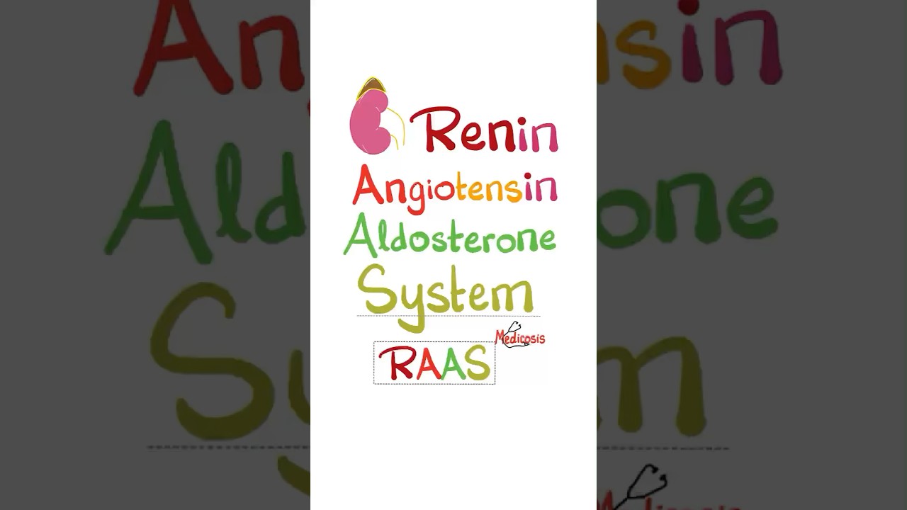 Układ renina-angiotensyna-aldosteron (RAAS) #anatomia #fizjologia #biologia #pielęgniarka #lekarz...