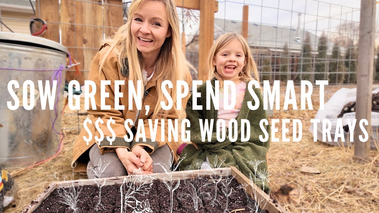 Going Green: Sustainable Seed Starting Using Wooden Trays