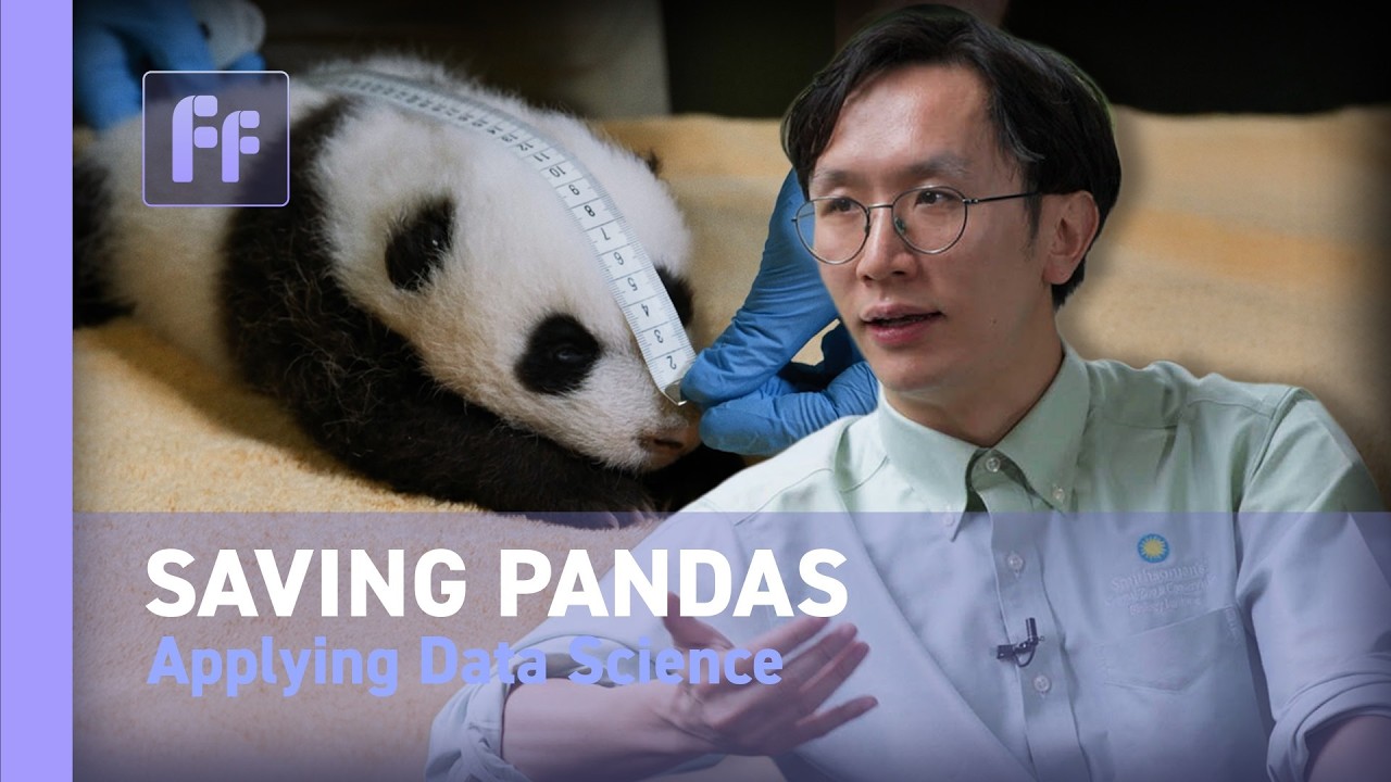 Mapping to protect Pandas- Qiongyu Huang