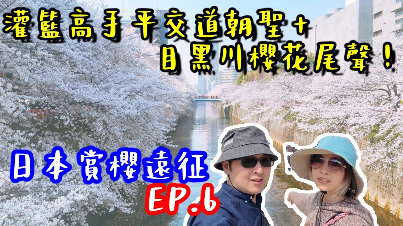 日本賞櫻遠征 EP.6｜灌籃高手平交道朝聖＋目黑川櫻花尾聲！大佛＆單軌列車一日走透透