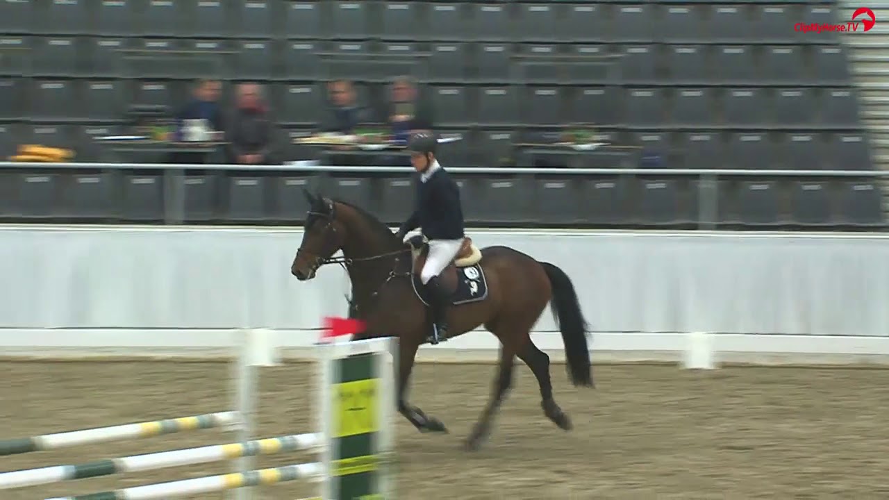Zinedream v. Zinedine - Contender Landadel