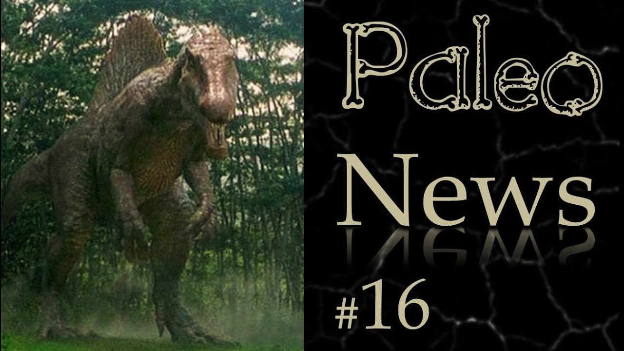 Spinosaurus va au Brésil, mais danse t'il la samba ?