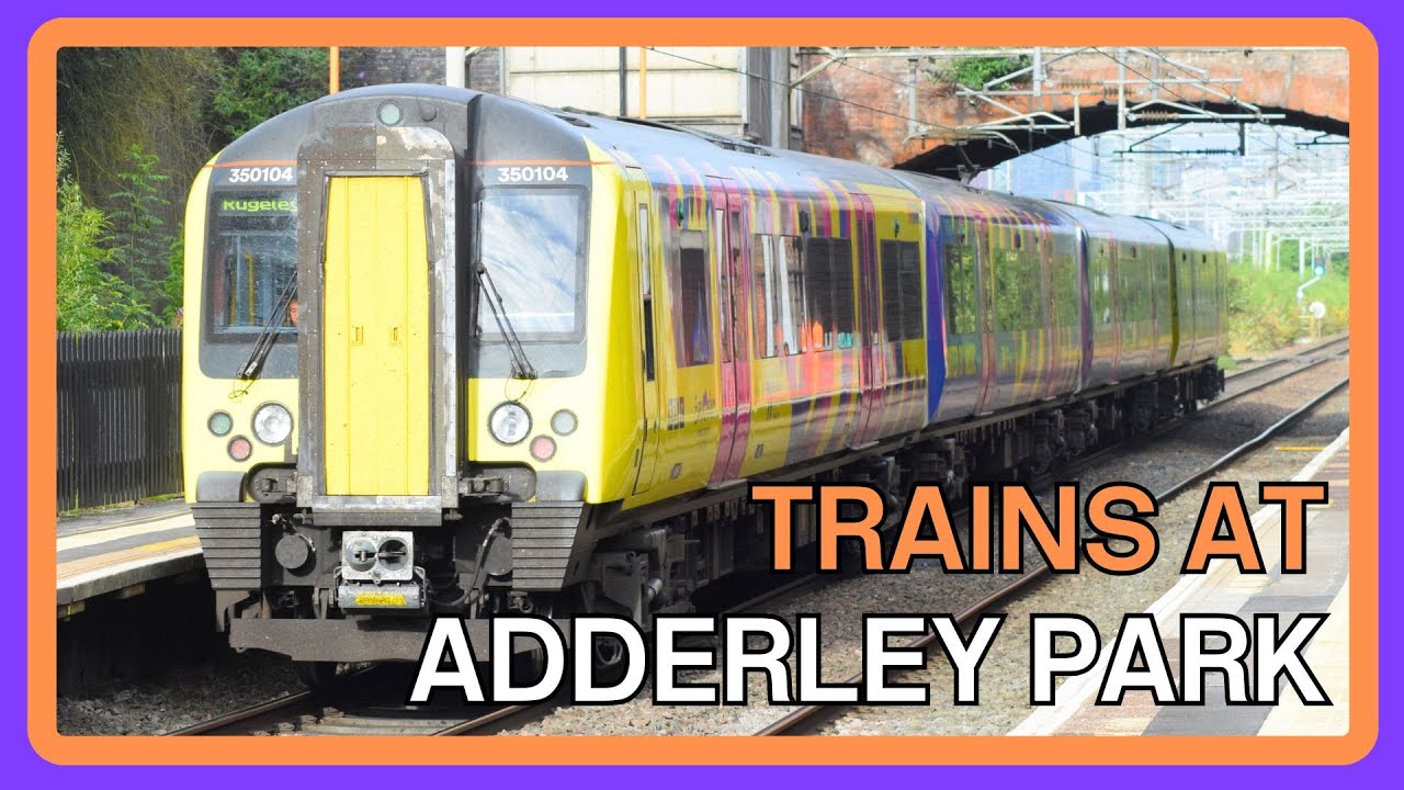 TRAINS at ADDERLEY PARK - 08/08/2024