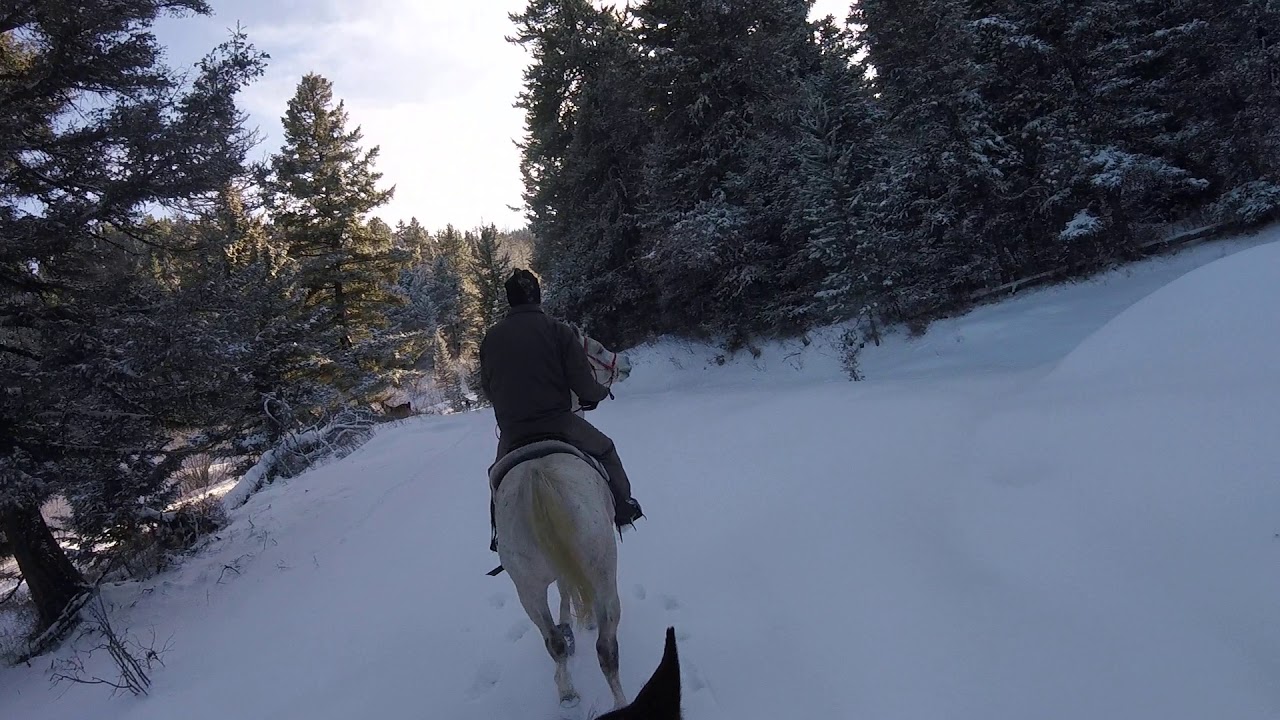 Fun horseback ride through the snow with a loose horse taking turns leading the way!