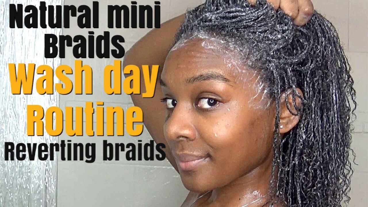 natural mini braids| wash day routine/ hair revert